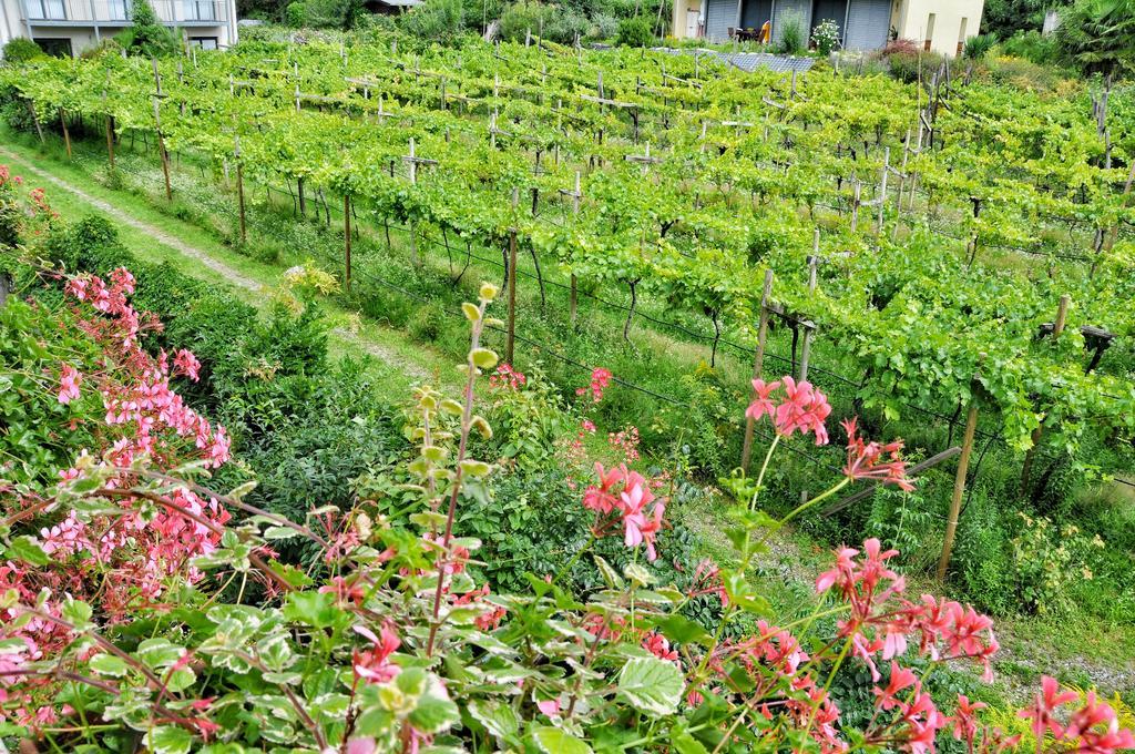 Hotel Zima Merano Bilik gambar
